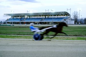 Trotting,Horse,Race,,Horse,With,Sulky,,With,Background,The,Spectators'